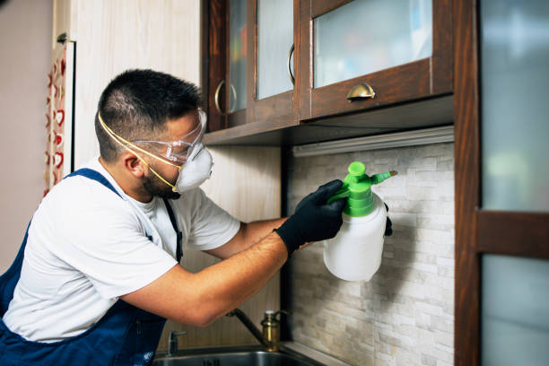 Best Pest Inspection Near Me  in Riverside, NY