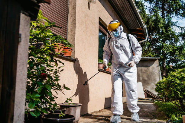 Best Pest Control Treatment  in Riverside, NY