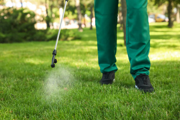 Best Pest Inspection Near Me  in Riverside, NY
