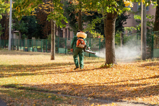Best Rat Extermination Near Me  in Riverside, NY