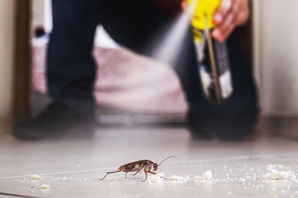 Reliable Riverside, NY Pest Control Solutions