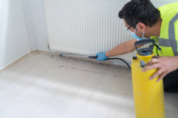 Best Best Pest Control Companies  in Riverside, NY